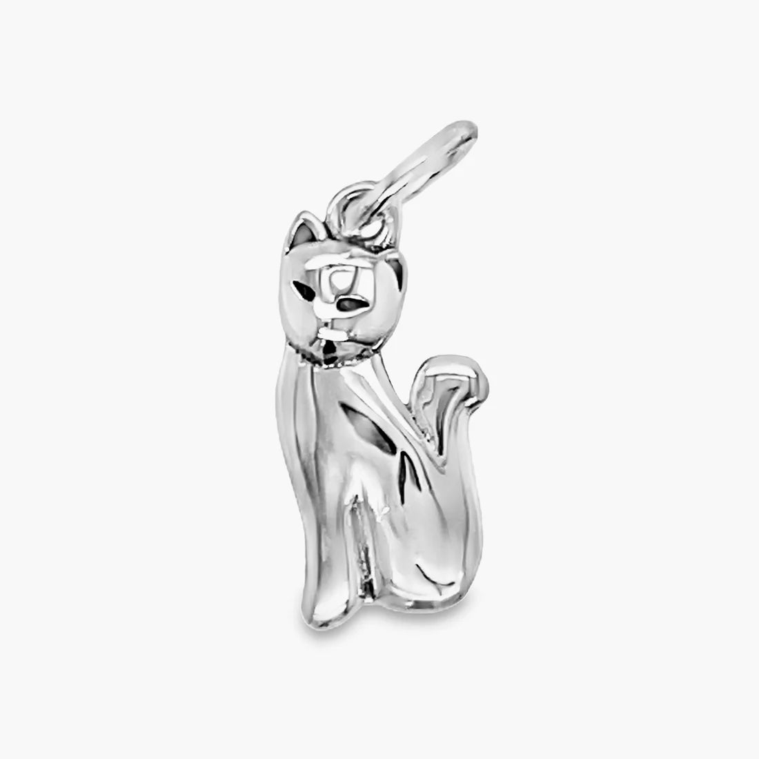 Cat Charm